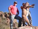 Mountain Lion Hunts 2