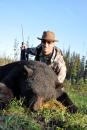 BC Black Bear Hunts 9